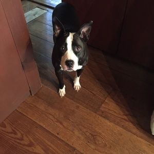 Meet your Posher, Tammy